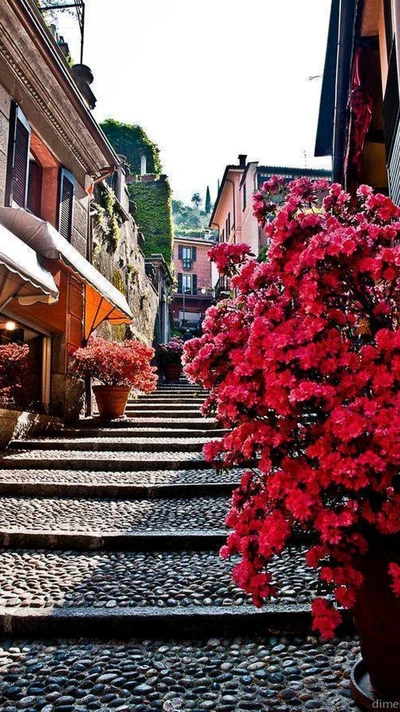 city, itali, old, road