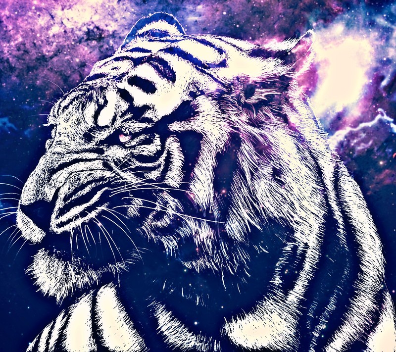 Nahaufnahme eines tigers mit einem galaxiehintergrund (raum, tiger)