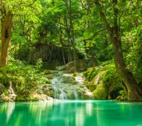 floresta, lago, riacho, verão, cachoeira