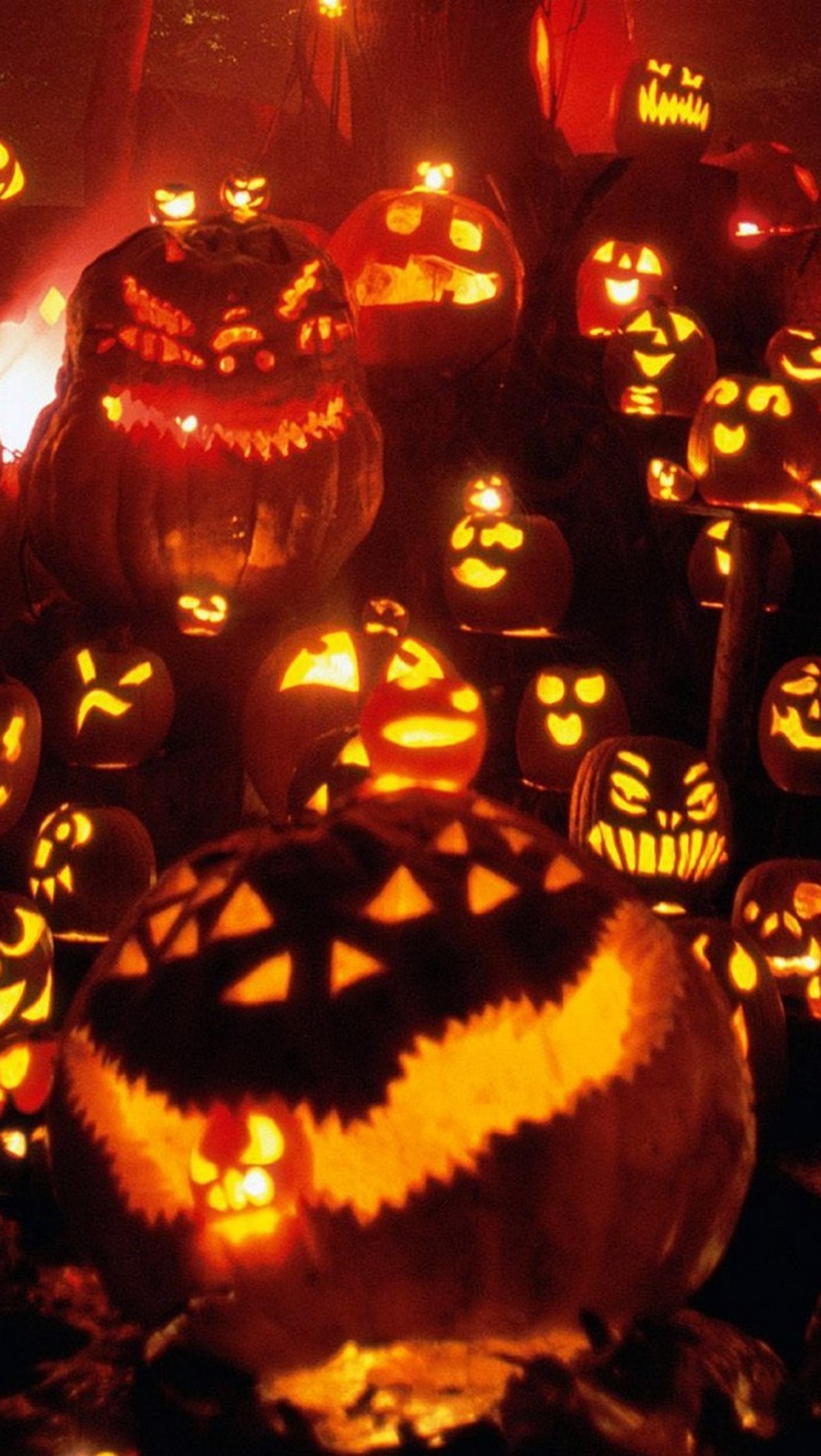 A close up of a group of carved pumpkins with faces (dark, halloween, night, pumpkin)