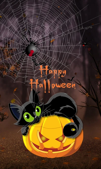 halloween, night, pumpkin, spider