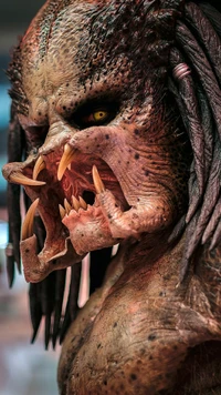 predator, icio wallpaper