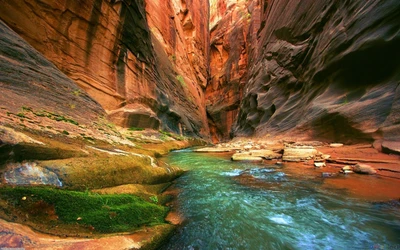 Curso de água sereno nos estreitos cânions do Parque Nacional Zion