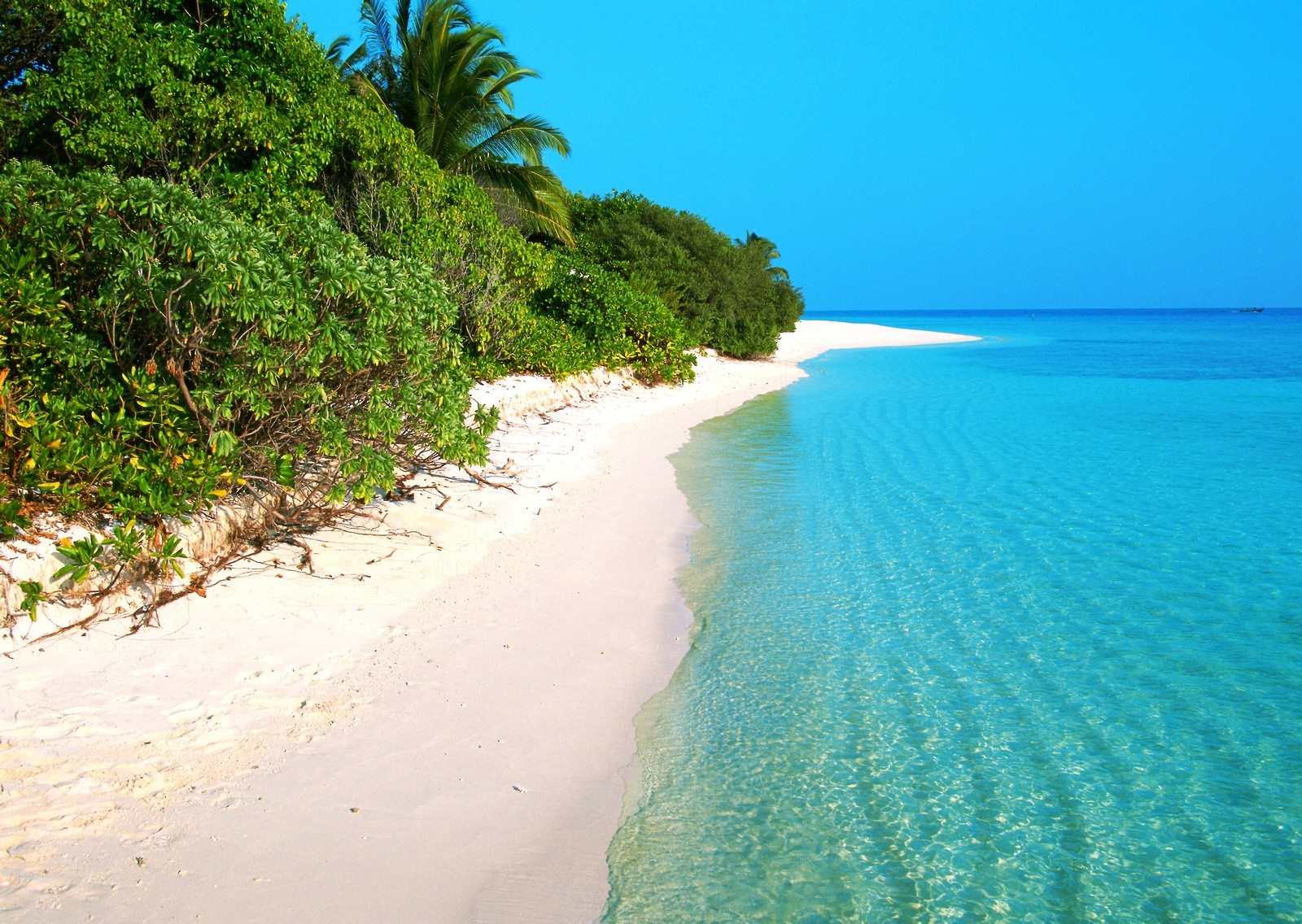 Uma vista de uma praia com areia branca e água clara (praia, mar, costa, trópicos, formas costeiras e oceânicas)