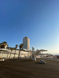 Skyscraper Overlooking Coastal Boardwalk and Palm Trees