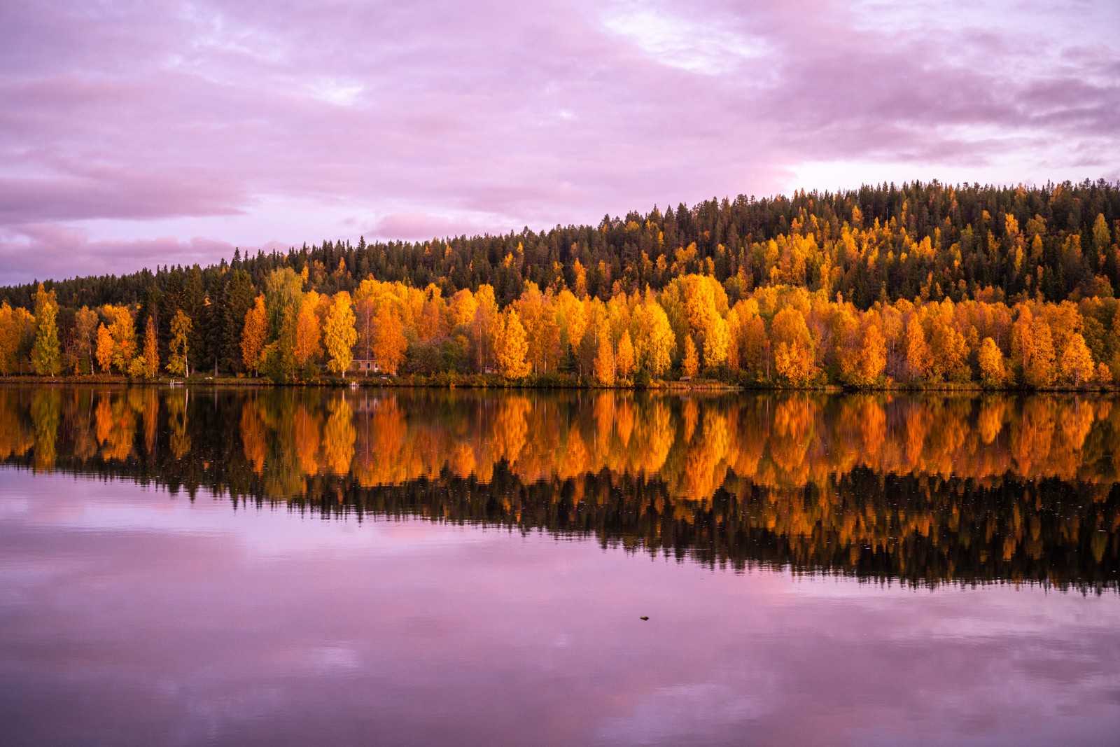 As árvores se refletem na água de um lago nas montanhas (árvores de outono, 8k, floresta, céu rosa, por do sol)