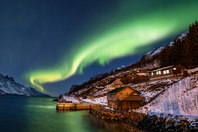 nordlicht, norwegen, nordlichter, holzhaus, landschaft