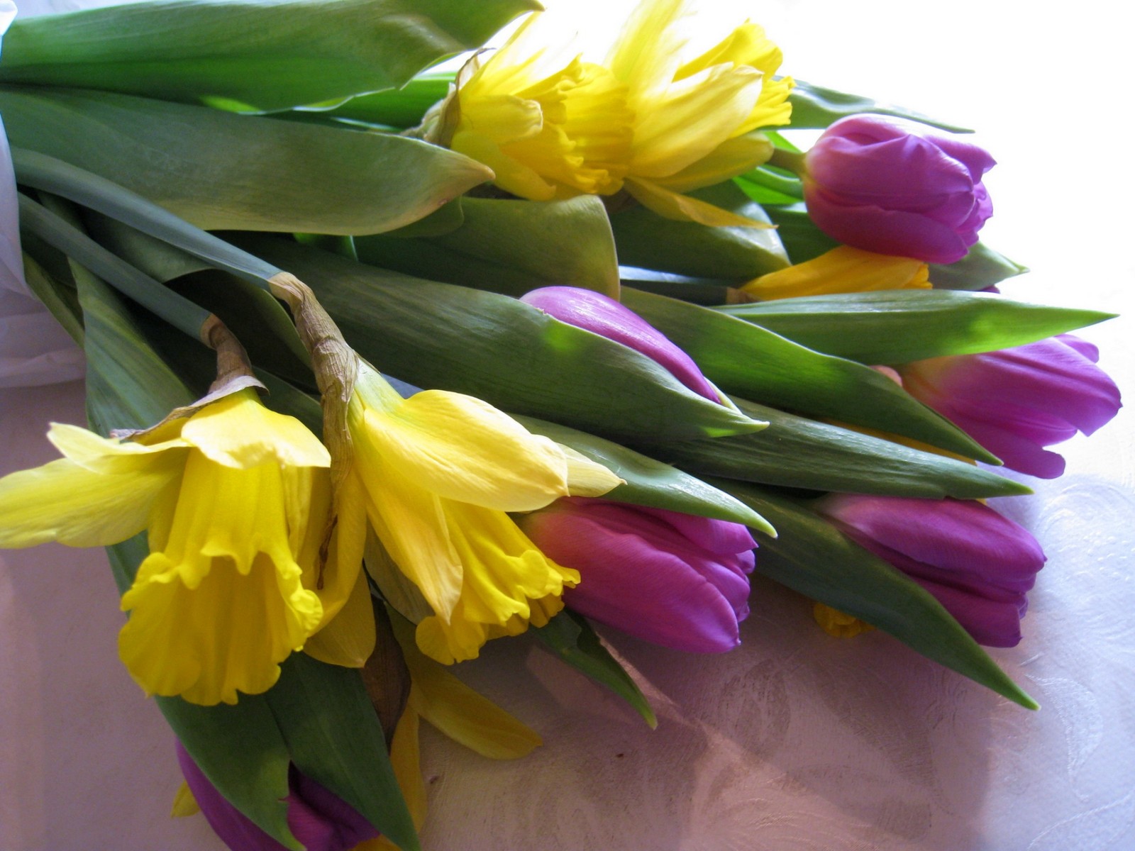 Il y a beaucoup de fleurs jaunes et roses sur une table blanche (plante à fleurs, pétale, jaune, fleuristerie, printemps)