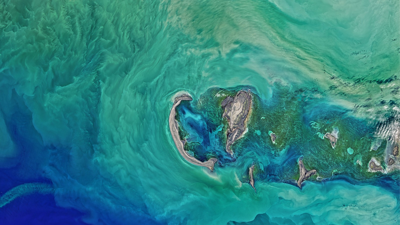 A view of a body of water with a lot of green algae (water, sea, ocean, turquoise, earth)