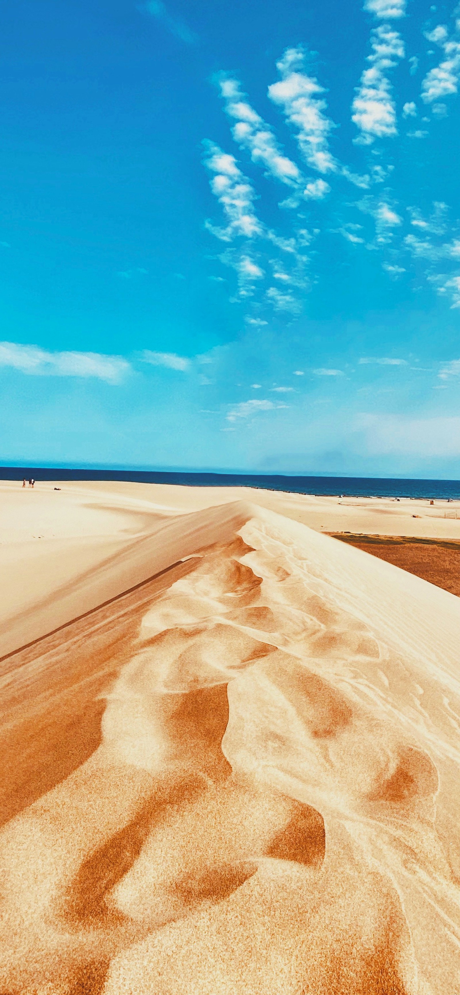 Araffes em uma praia de areia com céu azul e algumas nuvens (azul, dia, ambiente natural, areia, atmosfera)