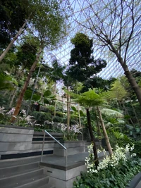 Jardim botânico exuberante com escadas e flora tropical