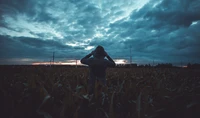 atardecer, hierba, oscuridad, horizonte, árbol