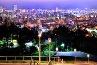 Cenário noturno vibrante de uma metrópole movimentada, exibindo marcos urbanos iluminados e um parque sereno abaixo, com um horizonte panorâmico se estendendo ao longo do horizonte.