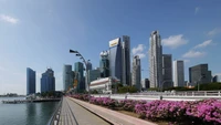 singapur, ciudad, paisaje urbano, panorama, rascacielos