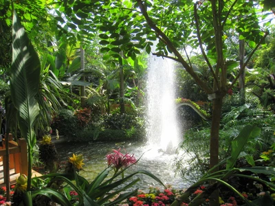 Floresta tropical exuberante com uma cachoeira serena cercada por flora vibrante e vegetação.