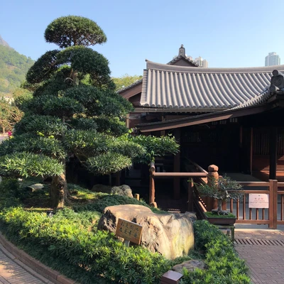 Jardin tranquille avec bonsaï et architecture traditionnelle à Hong Kong