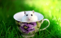 Adorabler weißer Hamster sitzt in einer blumigen Teetasse auf saftigem grünem Gras.