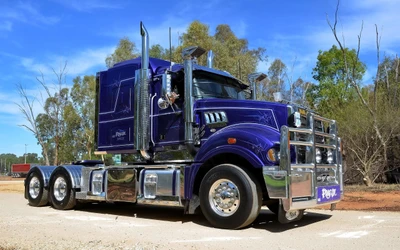 Camion Mack violet vibrant avec des accents chromés sur une route pittoresque.