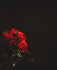 Rosas rojas elegantes contra un fondo oscuro