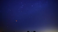 Celestial Harmony: Lunar Eclipse Under a Starry Night Sky