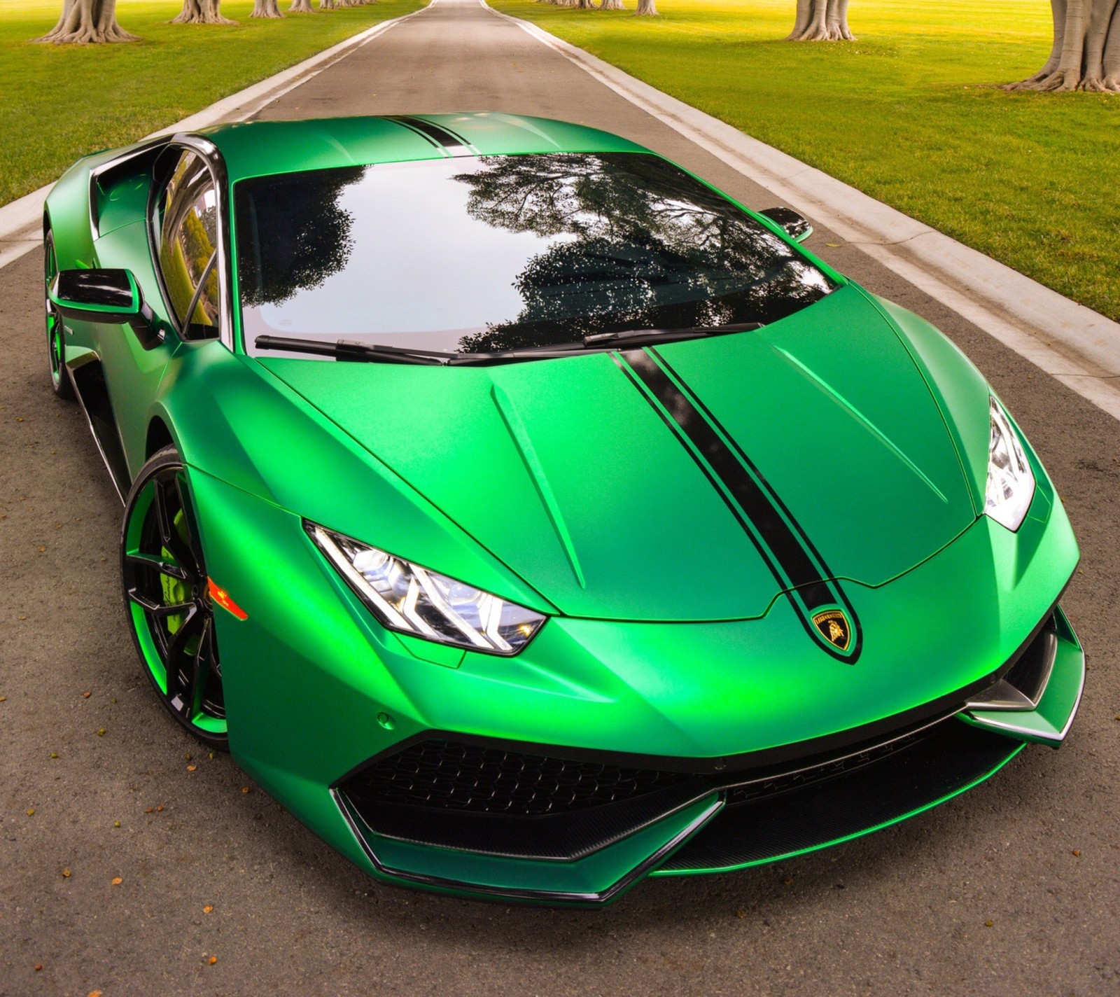 A close up of a green sports car parked on a road (car, green, lamborghini)