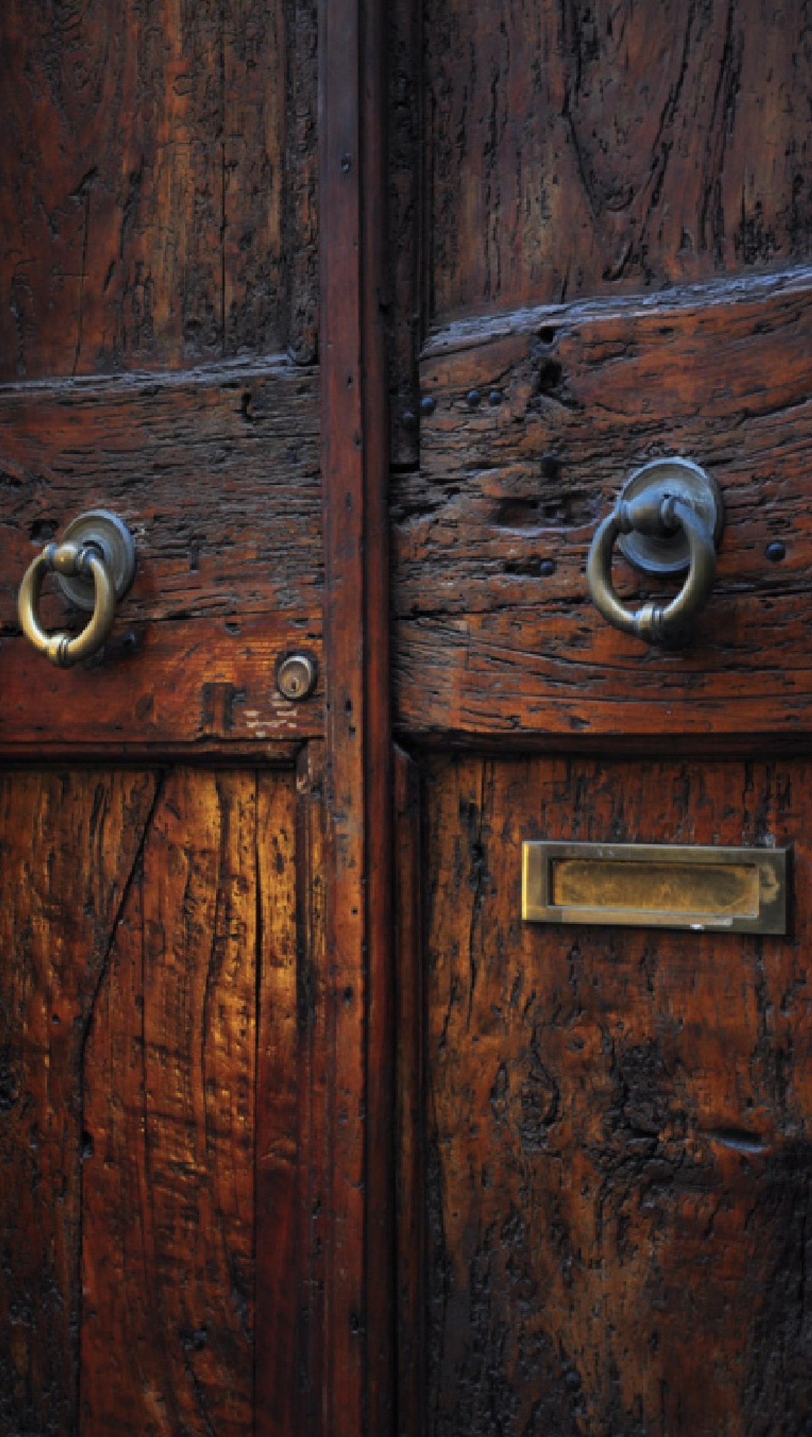 There is a close up of a door with a metal handle (brass, brown, door, handle, old)