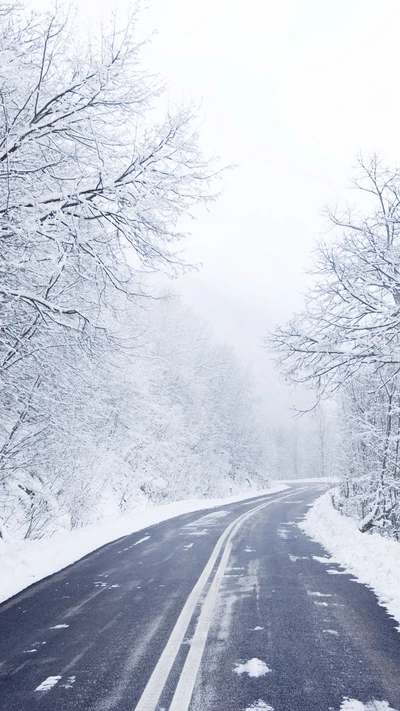 december, landscape, nature, road, snow