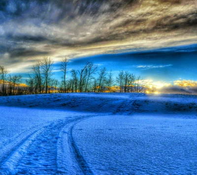 Serene Winterlandschaft bei Dämmerung mit schneebedecktem Boden und silhouettierten Bäumen