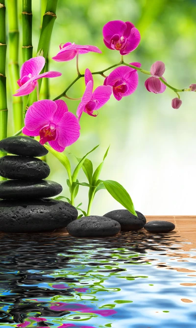 Tranquil Orchids and Stones in a Serene Spa Setting