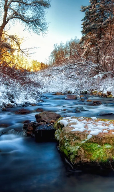 paisagem, natureza, neve, luz do sol, árvores