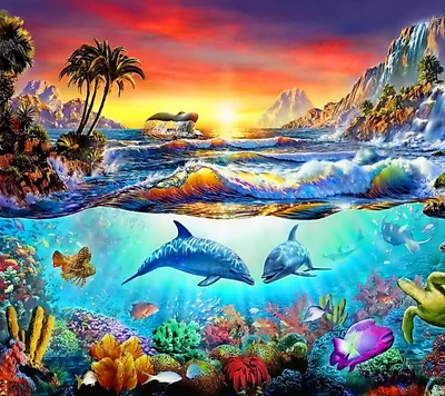 delfines, paraíso, atardecer, tropical, subacuático