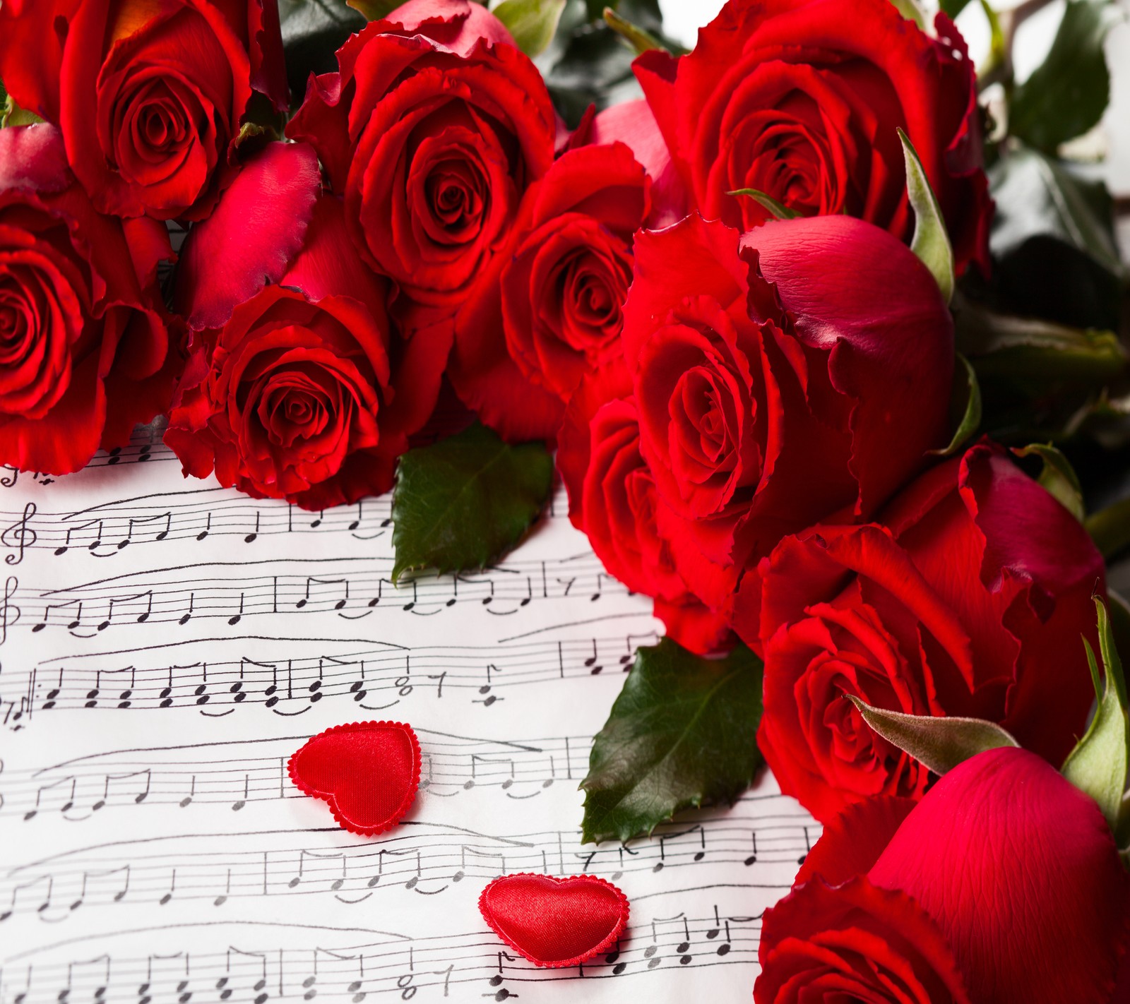 Rosas y una partitura con notas musicales y una rosa (rojo, rosas)