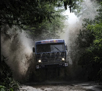 forêt, rallye, camion