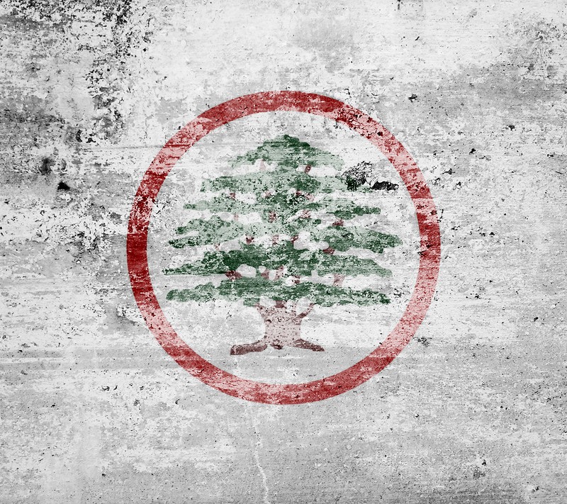 A close up of a tree painted on a concrete wall (lebanese, lebaneseforces, lebanon, lf, ouwet)