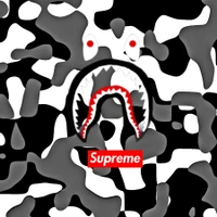 bape, camouflage, collab, surpeme