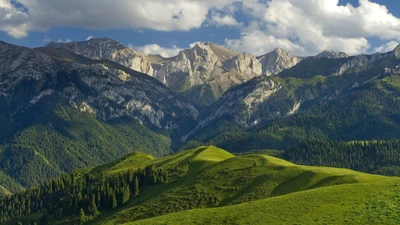 Paisaje montañoso majestuoso que captura el humor de la naturaleza