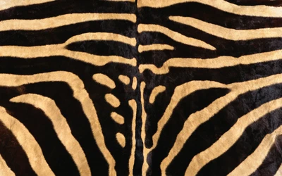 Almofada com estampa de zebra: um toque de elegância selvagem