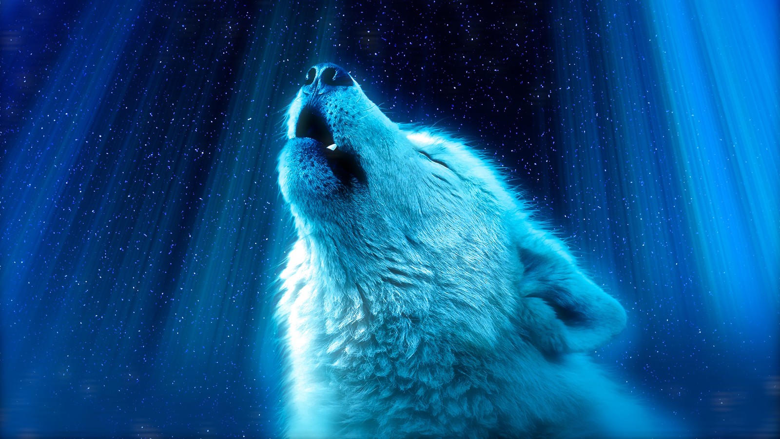 Imagen aráfida de un oso polar aullando a las estrellas (blanco, lobo, aullido, animales)