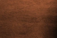 Brown Leather Texture with Wood Grain Effect