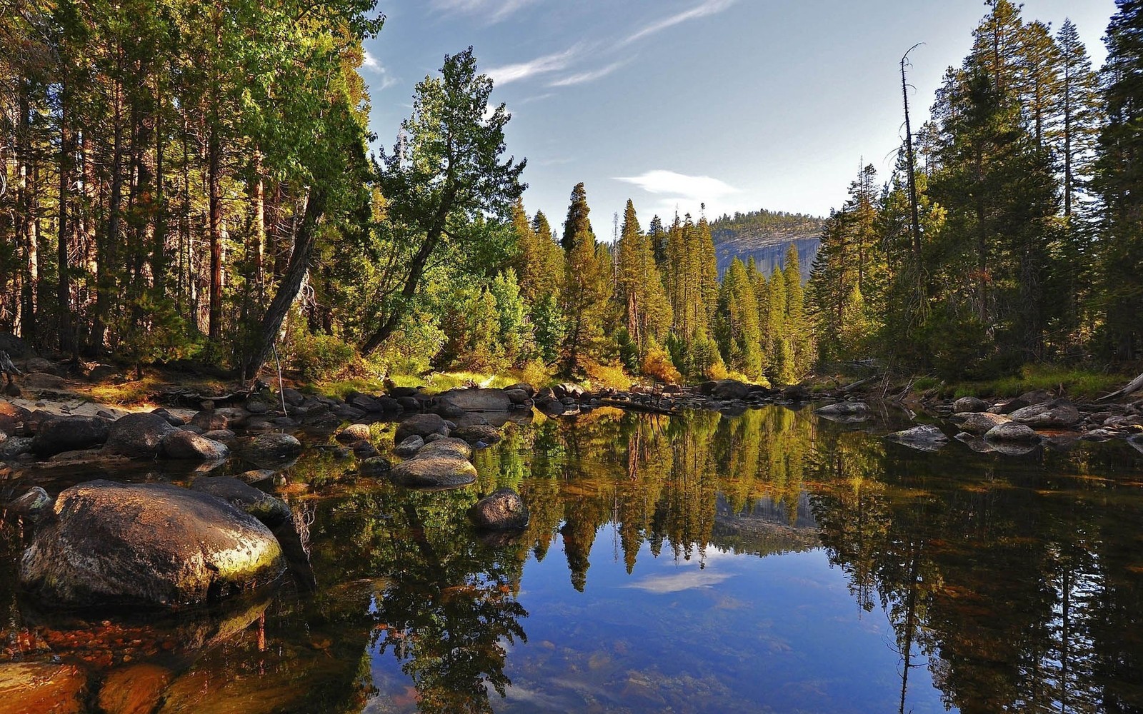 A view of a river with rocks and trees in the background (tree, reflection, nature, wilderness, water)