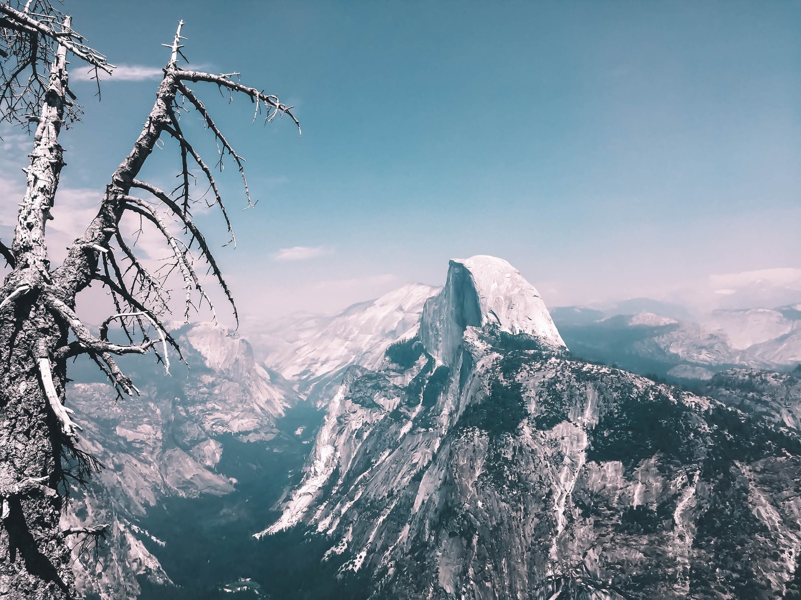 Uma vista de uma montanha com uma árvore ao fundo (parque nacional de yosemite, vale de yosemite, yosemite valley, meia cúpula, glacier point)