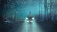 Enigmatic Train Journey Through a Mystical Forest