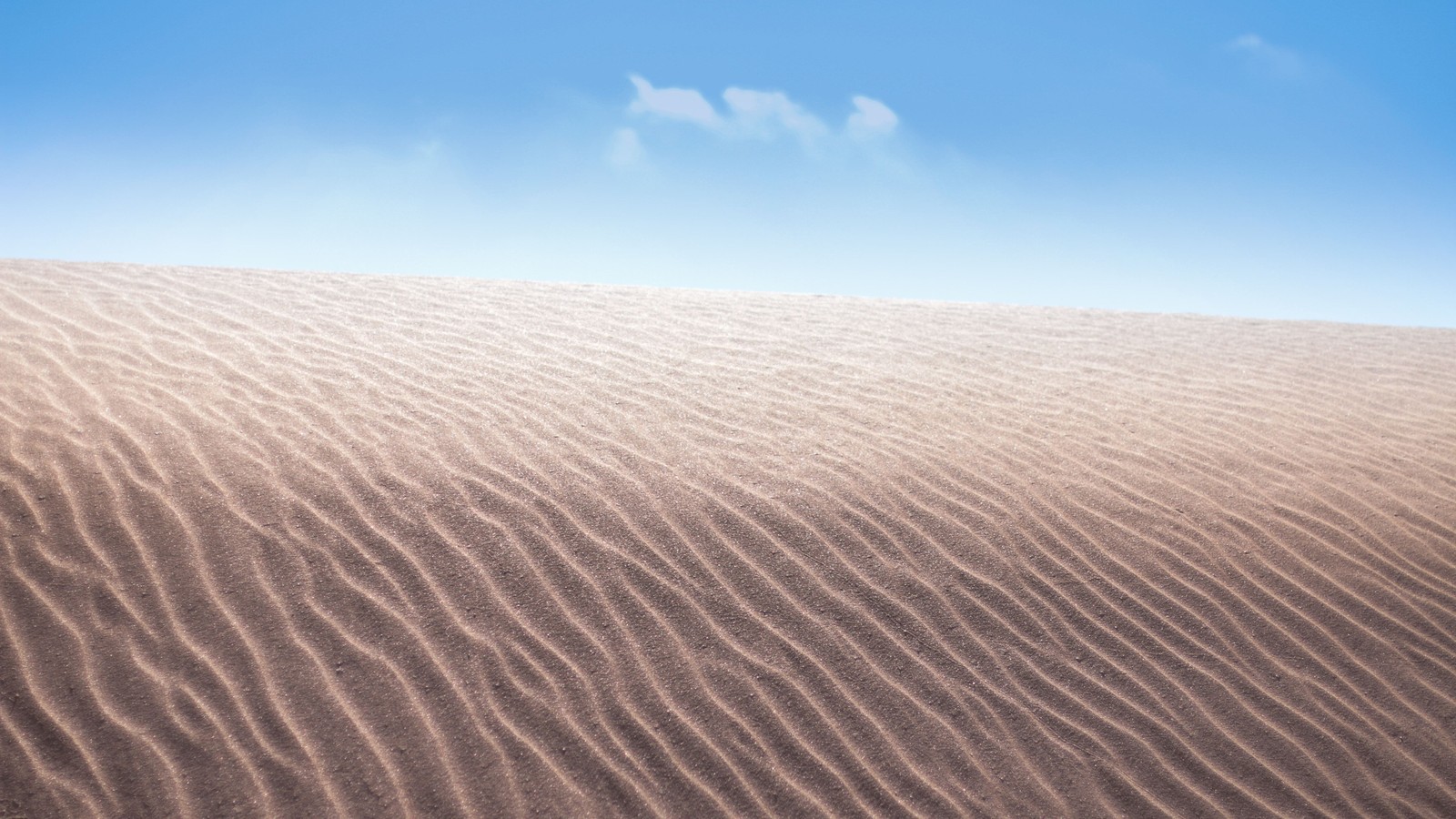 Un primer plano de una duna de arena con un cielo azul de fondo (desierto, duna, dune, arena, erg)