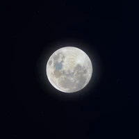 Super Lua de Neve Iluminando o Céu Noturno