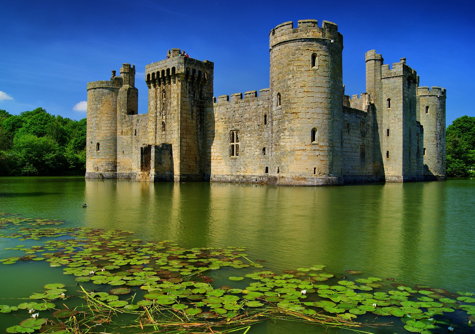 Castillo con un foso y lirios en el agua (castillo, castillo de agua, foso, vía fluvial, edificio)