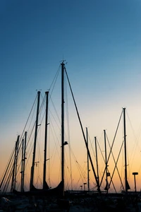 Silhouetted masts of various tall ships against a calm sunset sky.