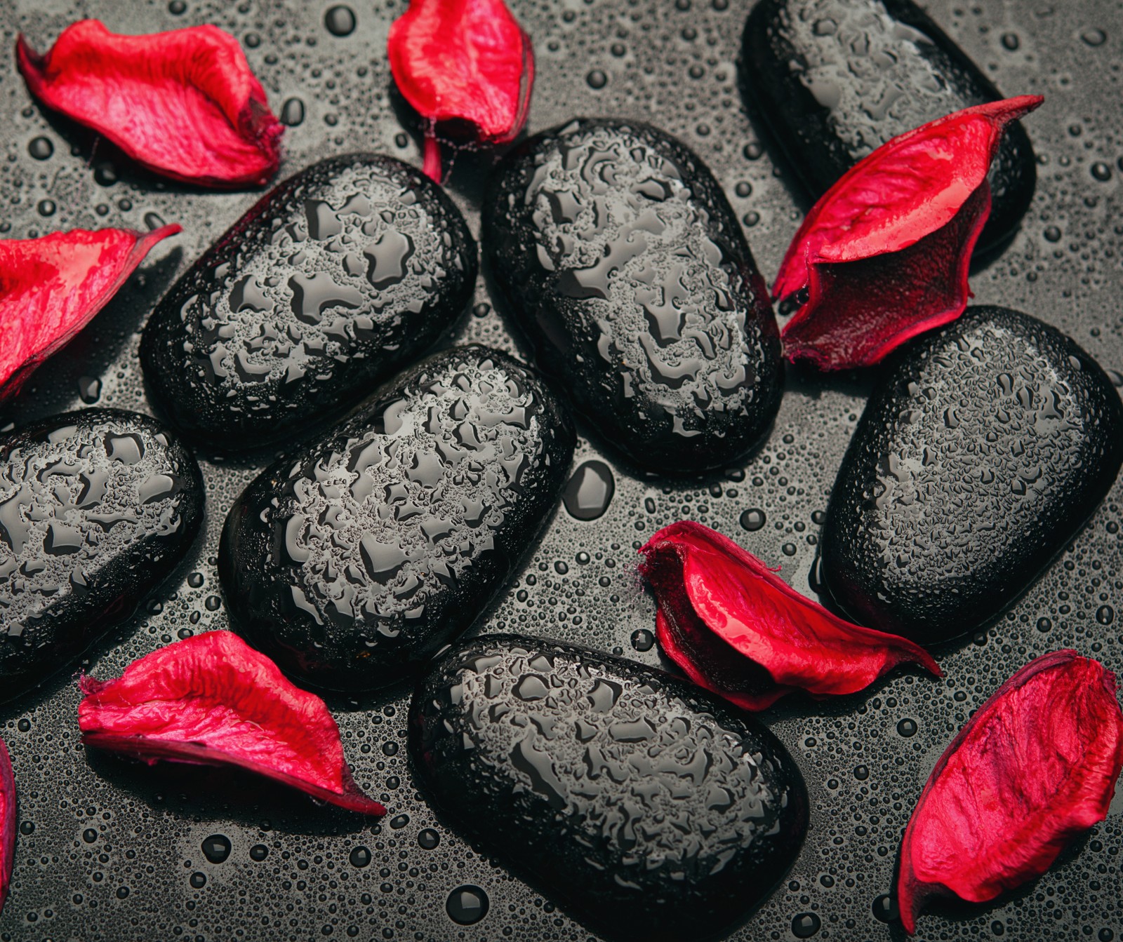 A close up of a bunch of black stones with red petals (meem, rubab)