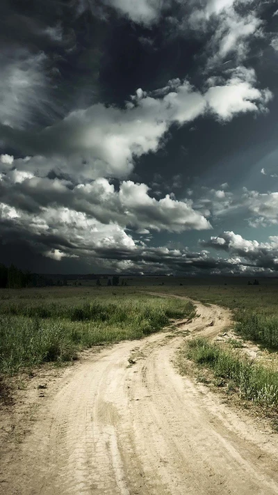 Gekrümmter Weg durch üppiges Gras unter dramatischem Himmel