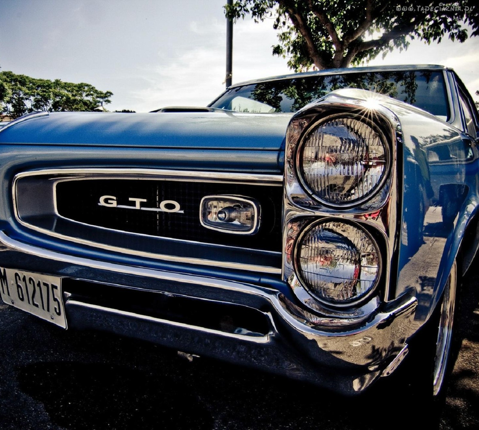 Descargar fondo de pantalla coches, gto, pontiac