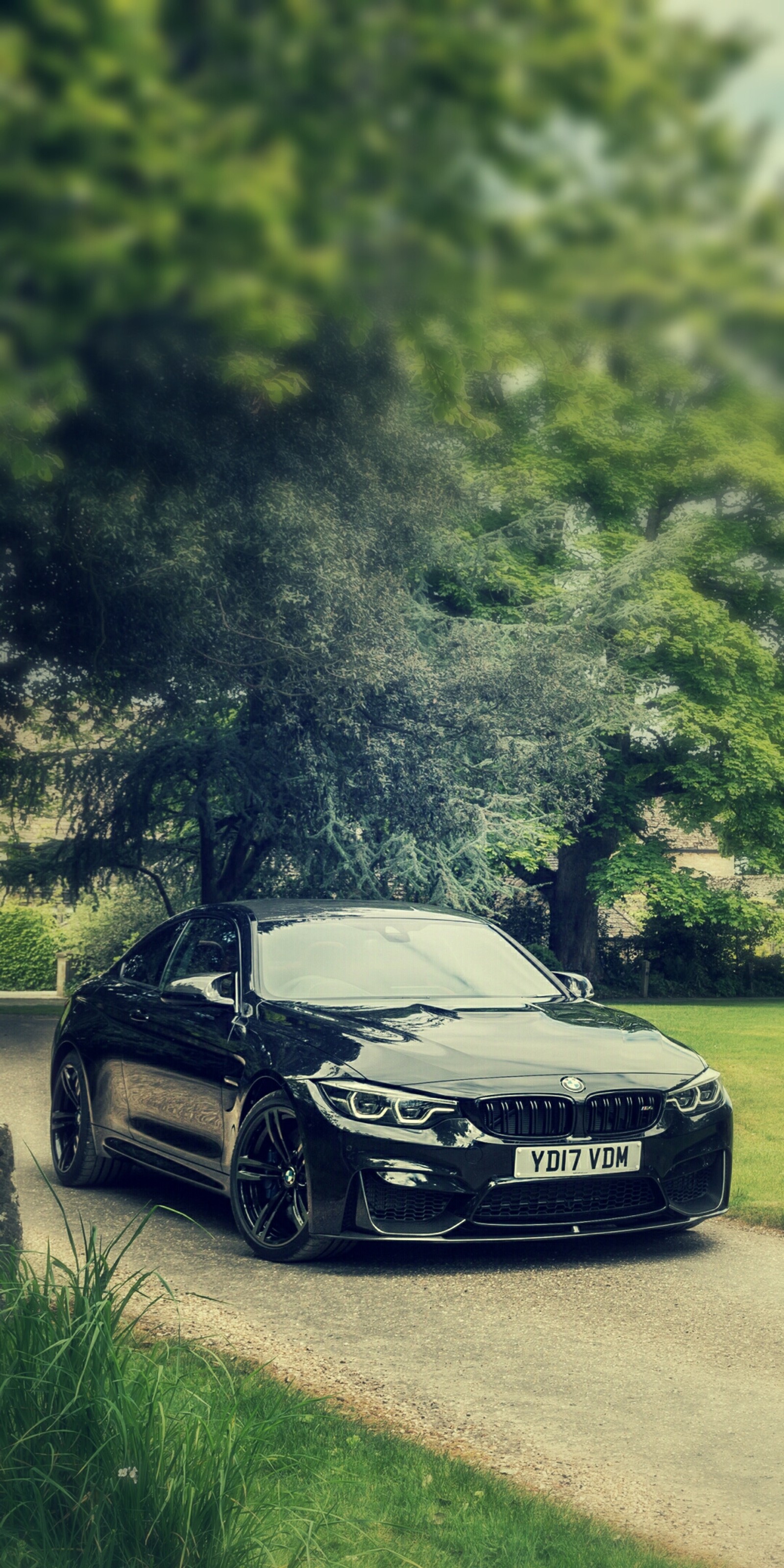 Arafed black car parked on a road with a tree in the background (auto, black, bmw, car, coupe)